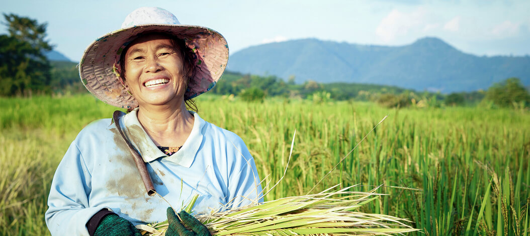 On-site technical guidance